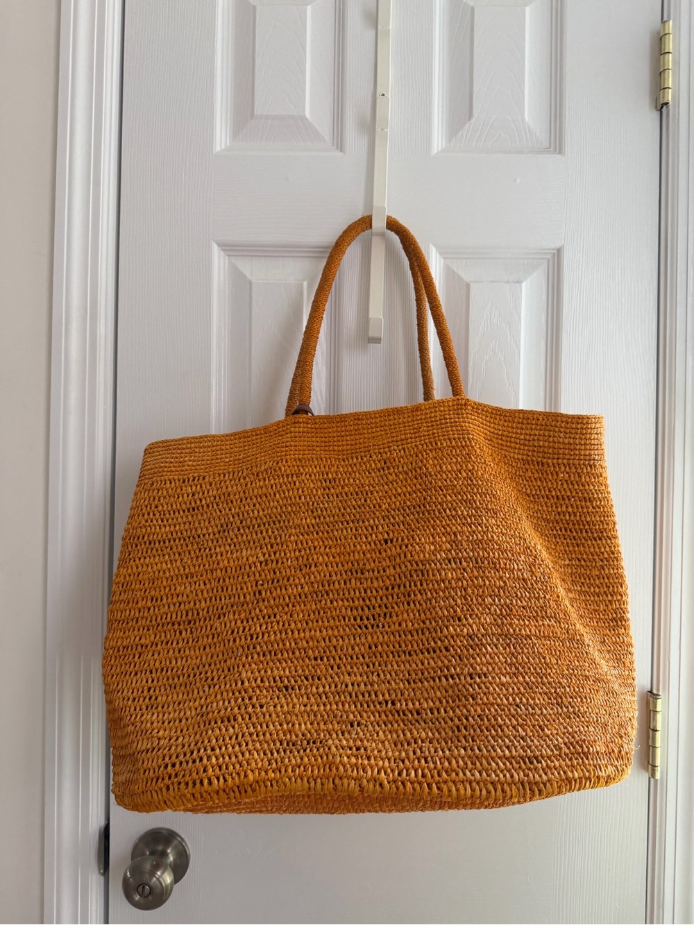The Row Oregon Bag in rare Radian Ans Color